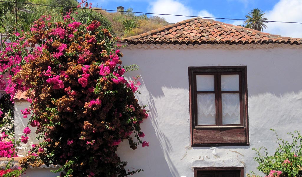 WEDNESDAY: Foto & tour of the Island